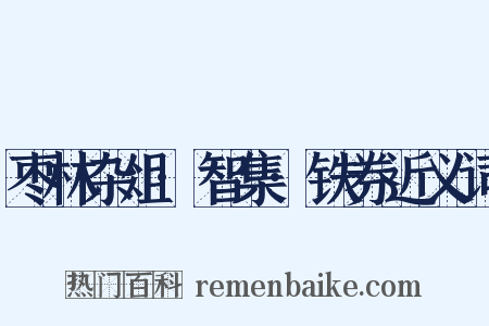 枣林杂俎·智集·铁券近义词是什么意思的图片